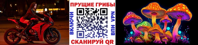 купить наркотики цена сайты даркнета какой сайт Галлюциногенные грибы MAGIC MUSHROOMS Томари